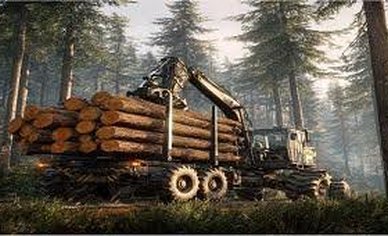 ГЛОНАСС для перевозки леса