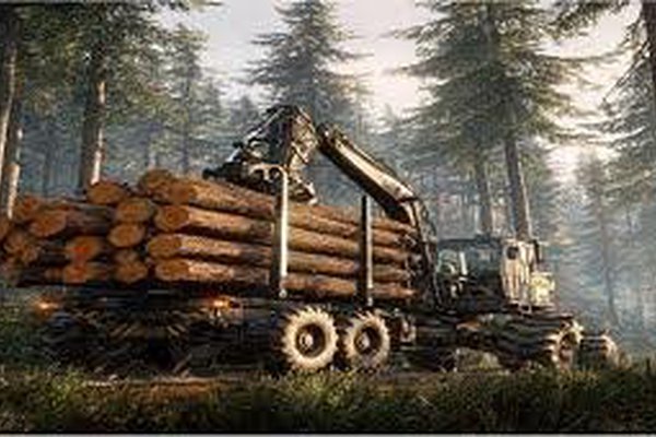 ГЛОНАСС для перевозки леса